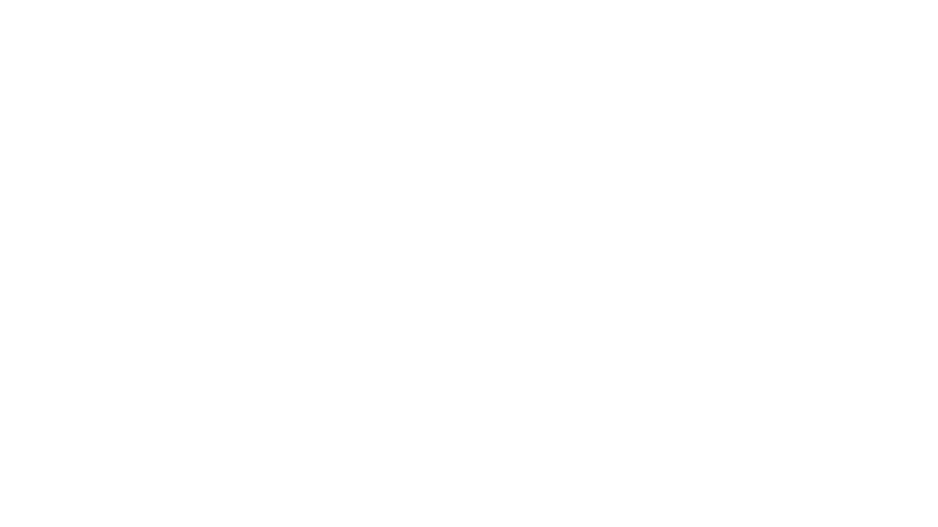 Magnia Logo
